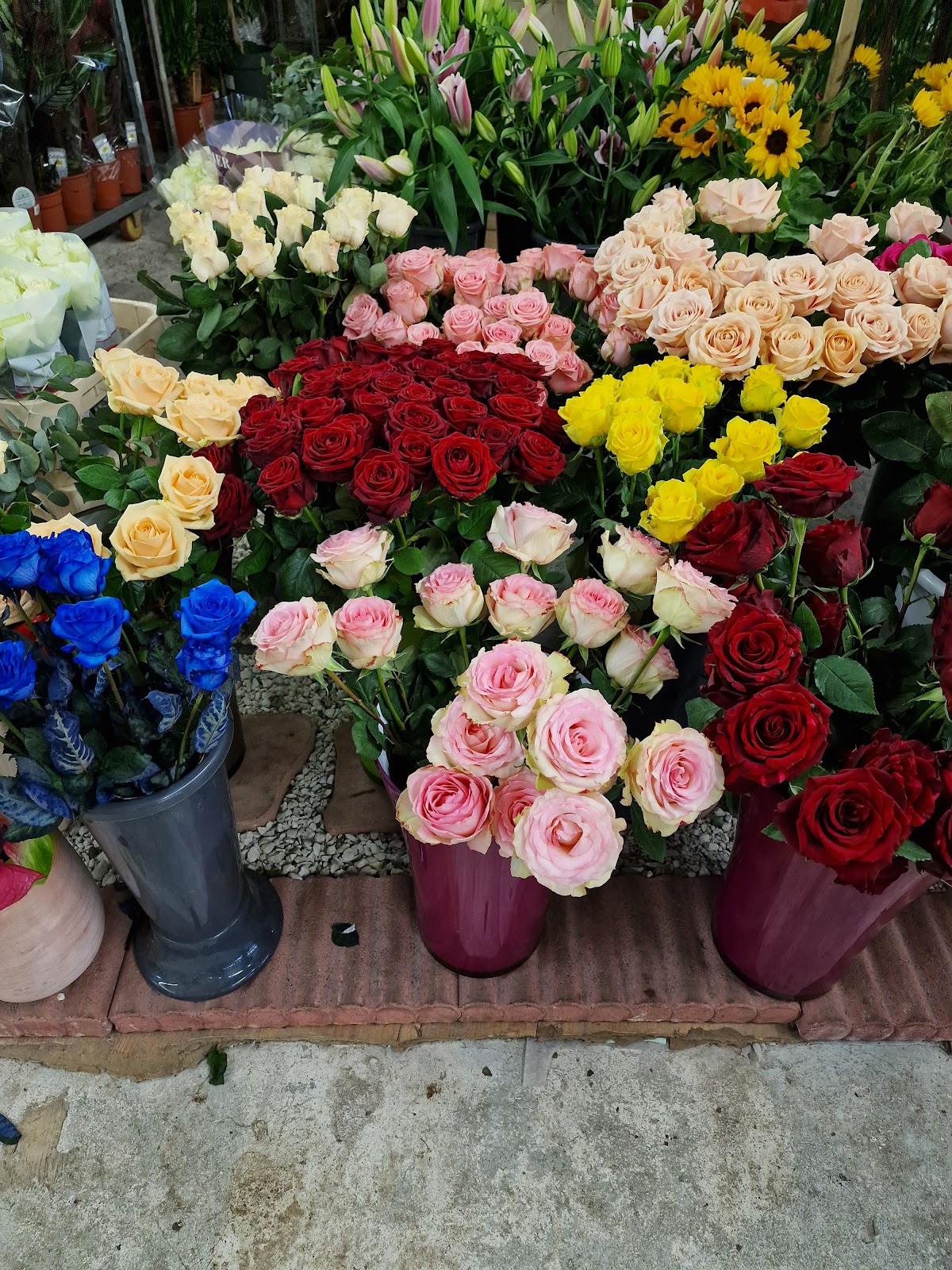 Aux Fleurs des Anges - photo 2